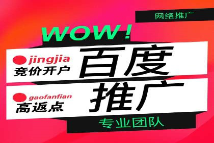 某品牌通过SEM关键词实现品牌推广的实战案例